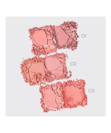 VIVIENNE SABO Palette blush Naturel tone 02 - Buy Online on GoSupps.com