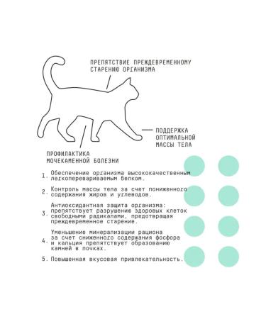 AJO CAT STERILE FORME for active sterilized cats - Buy Online on GoSupps.com