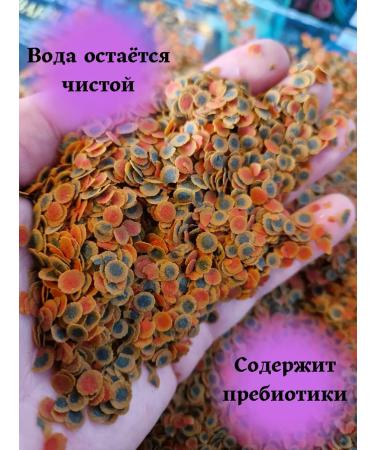 Terraoptima Fish food chips 100g - Buy Online on GoSupps.com