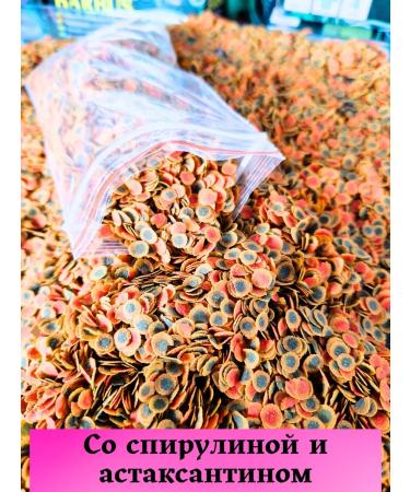 Terraoptima Fish food chips 100g - Buy Online on GoSupps.com