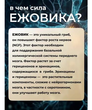 Altai ECO Ezhovik Capsule Capsula Capsula 90 pcs 350 mg - Buy Online on GoSupps.com