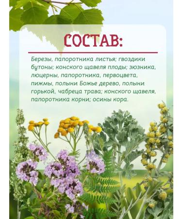 Herbalist Gordeev MV Tea drink helminths and parasites-stop 3 pcs - Buy Online on GoSupps.com