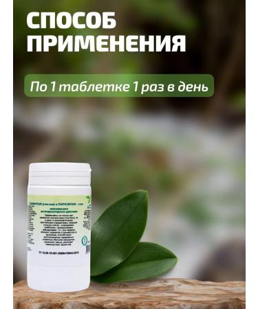 Herbalist Gordeev MV Helminths and parasites-stop tablets No. 90 2 pieces - Buy Online on GoSupps.com