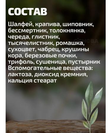 Herbalist Gordeev MV Monastic 16 herbs tablets No. 90 2 pieces - Buy Online on GoSupps.com