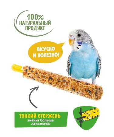 HAPPY JUNGLE Bird treat with molting 3 pcs - Buy Online on GoSupps.com