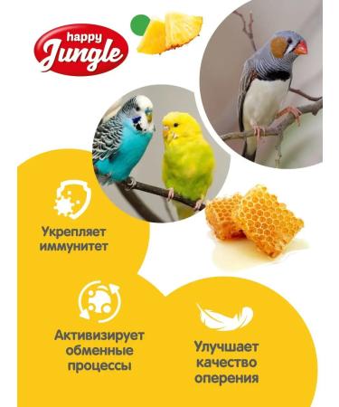 HAPPY JUNGLE Bird's treats honey+fruits 3 pcs - Buy Online on GoSupps.com