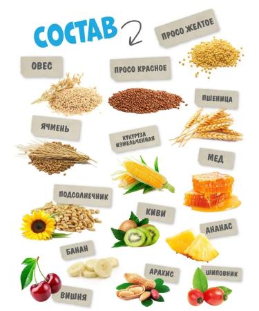 HAPPY JUNGLE A treat for small rodents of the stick 3 tastes - Buy Online on GoSupps.com