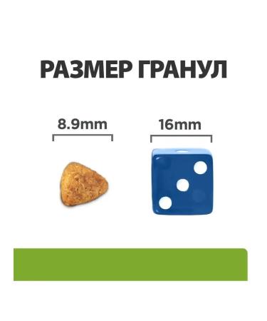 HILL'S For small breeds Metabolic mini for weight loss 3 kg - Buy Online on GoSupps.com