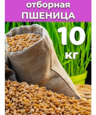 SemenaRus Wheat 10 kg microwave for weight loss agent