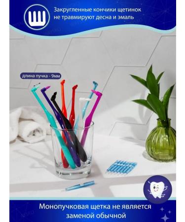 WAYSKO MONOWER TOLABLE BRANCE BRANTS Set - Buy Online on GoSupps.com