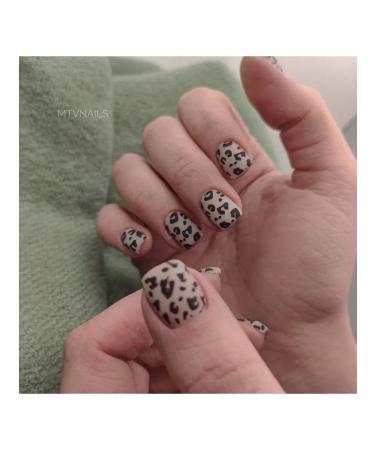 Swanky Stamping Stamping set of zebra geometry - Buy Online on GoSupps.com