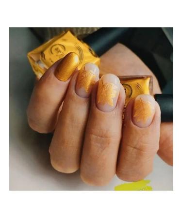 Swanky Stamping Stamping set of zebra geometry - Buy Online on GoSupps.com