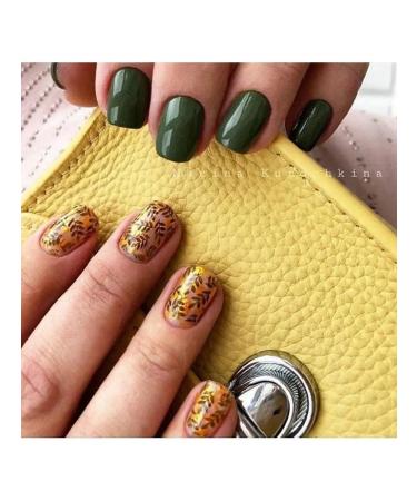 Swanky Stamping Stamping set of zebra geometry - Buy Online on GoSupps.com