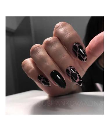 Swanky Stamping Stamping set of zebra geometry - Buy Online on GoSupps.com