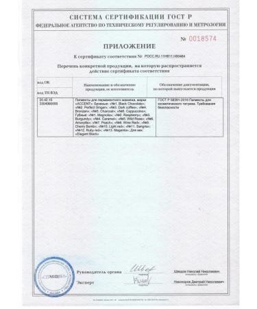 Accent No. 5 charcoal Pigment for permanent makeup 5 ml - Buy Online on GoSupps.com