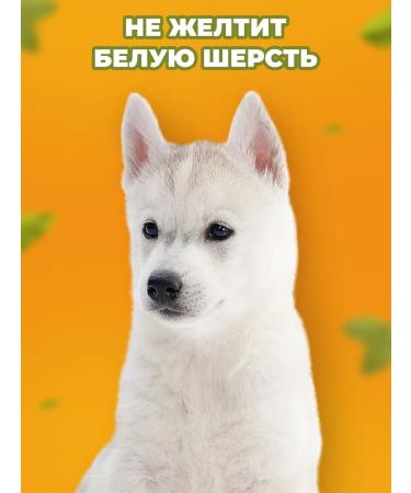 Althea Shampoo for dogs animals with d-panthenol 2 pcs - Buy Online on GoSupps.com