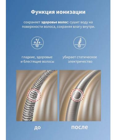 Dewal Feng 2200 W Exception Compact 03-114 Blue - Buy Online on GoSupps.com