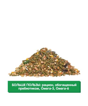 HAPPY JUNGLE Feed for chinchillas and degu prestige 500g - Buy Online on GoSupps.com