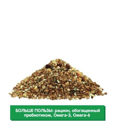 HAPPY JUNGLE Feed for hamsters and mice prestige 500g - Buy Online on GoSupps.com