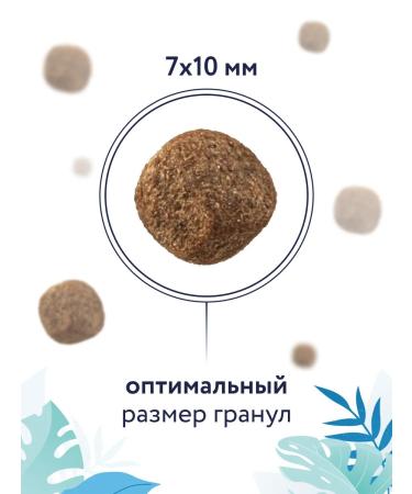 Florida Hypoallergenic dry cat food 0.5 kg - Buy Online on GoSupps.com