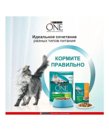 PURINA ONE Dry food with a turkey 3 kg - Buy Online on GoSupps.com
