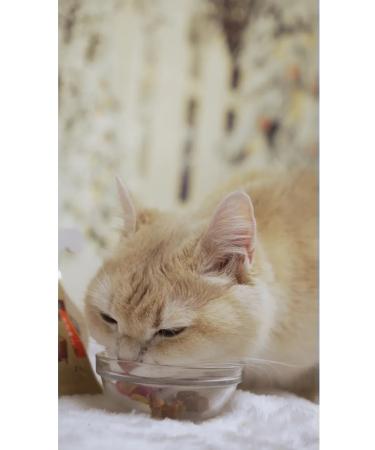 Japan Premium Pet Treat for cats souffle with Japanese tuna 1 un - Buy Online on GoSupps.com