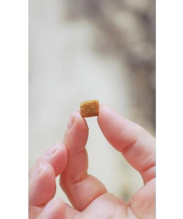 Japan Premium Pet Treat for cats souffle with Japanese tuna 1 un - Buy Online on GoSupps.com