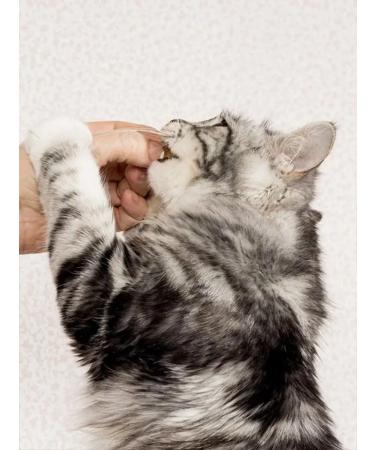 Japan Premium Pet A treat with tuna to remove wool 30 grams - Buy Online on GoSupps.com