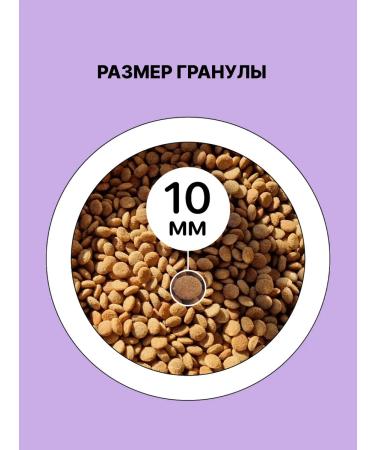 LAPICO Dry food for adults sterilized cats "Indika" 8kg - Buy Online on GoSupps.com