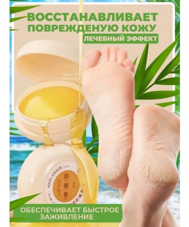 Lotus Anti-Crack cream wax from cracks - Buy Online on GoSupps.com