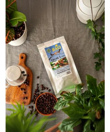 Thuy Duong Vietnamese coffee in Lyuvak I Thu Duong 1000 g - Buy Online on GoSupps.com