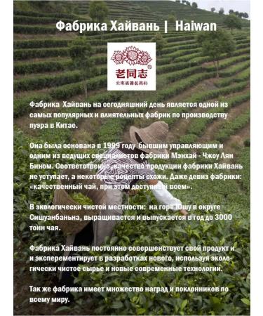 Yan Yi Tea Shu Puer Kirpich "Lao Tong Zhi 9988" Factory Khayvan - Buy Online on GoSupps.com