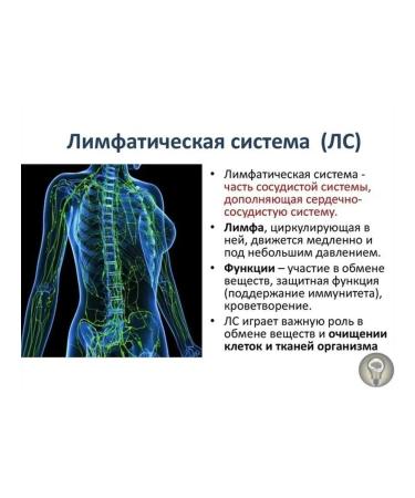 The Ural Nature Reserve Lymphodnate tea "for cleansing lymph" - Buy Online on GoSupps.com