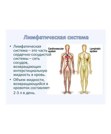 The Ural Nature Reserve Lymphodnate tea "for cleansing lymph" - Buy Online on GoSupps.com