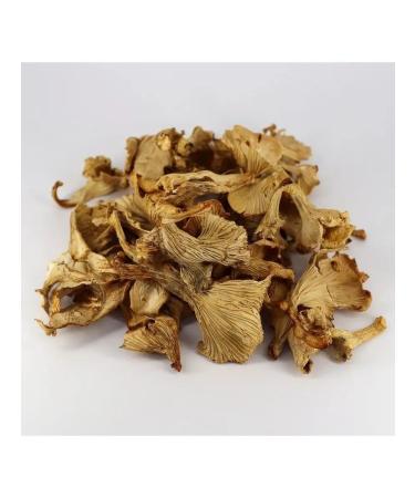 Fungiline Anticistitis 60 capsules - Buy Online on GoSupps.com