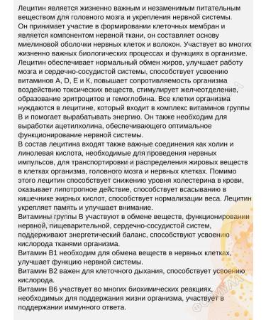 Doppelherz / Doppelgerts Lecithin-compartment 2u. Kh30kaps - Buy Online on GoSupps.com