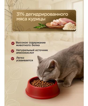 SECRET FOR PETS Dry food for sterilized cats chicken and rice 2 kg - Buy Online on GoSupps.com