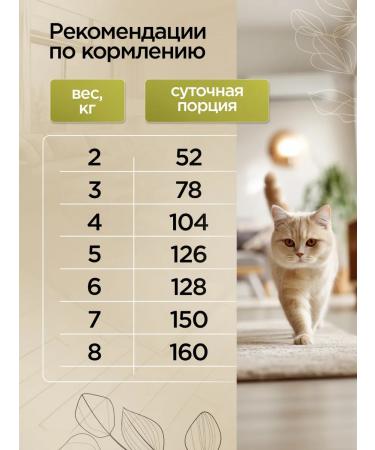 SECRET FOR PETS Cat food for dry chicken and rice 10 kg - Buy Online on GoSupps.com