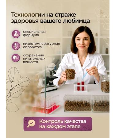 SECRET FOR PETS Cat food for dry veal 10 kg - Buy Online on GoSupps.com