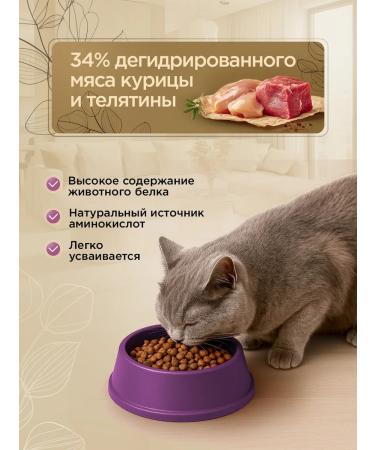 SECRET FOR PETS Cat food for dry veal 2 kg - Buy Online on GoSupps.com