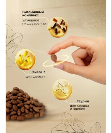 SECRET FOR PETS Cat food for dry veal 2 kg - Buy Online on GoSupps.com