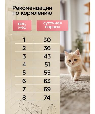 SECRET FOR PETS Dry food for kittens of turkey and rice 2 kg - Buy Online on GoSupps.com