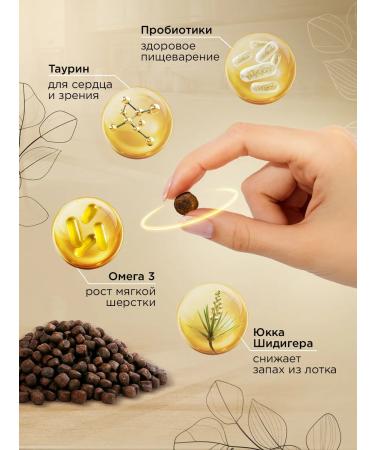 SECRET FOR PETS Dry food for kittens of turkey and rice 2 kg - Buy Online on GoSupps.com