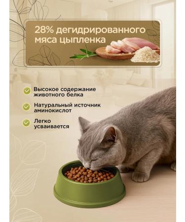 SECRET FOR PETS Cat food for dry chicken and rice 2 kg - Buy Online on GoSupps.com