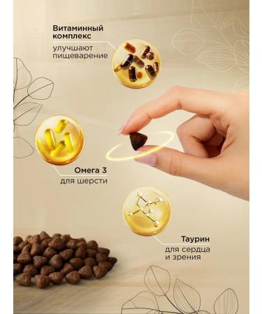 SECRET FOR PETS Cat food for dry chicken and rice 2 kg - Buy Online on GoSupps.com