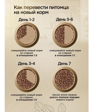 SECRET FOR PETS Cat food for dry meat stew 2 kg - Buy Online on GoSupps.com