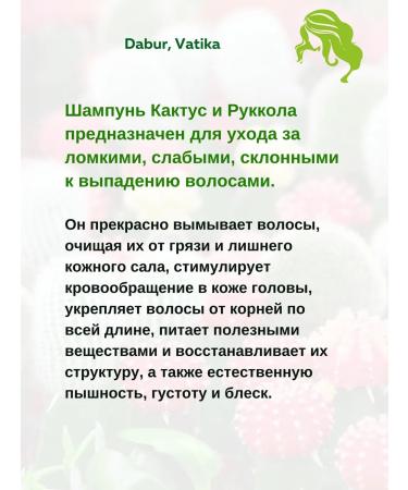 Dabur VATIKA Shampoo Cactus of arugula SHAMPOO CACTUS GERGIR 2x200ml - Buy Online on GoSupps.com