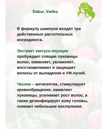 Dabur VATIKA Cactus and arugula shampoo + air conditioning 200 ml +200 ml - Buy Online on GoSupps.com