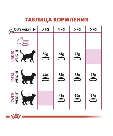 ROYAL CANIN Aroma Exigent for cats 4 kg - Buy Online on GoSupps.com