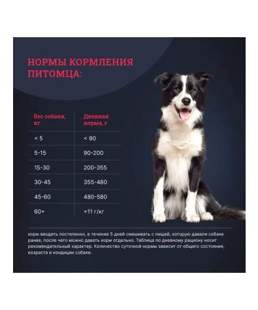 Gina Dry food for active dogs chicken rice 7.5 kg - Buy Online on GoSupps.com